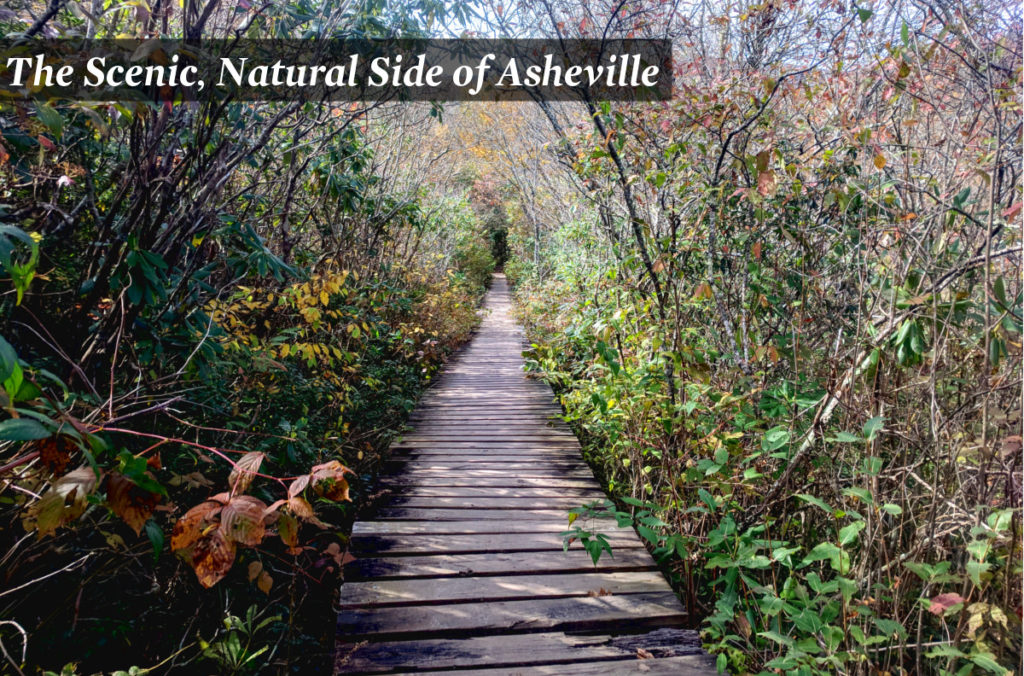 Asheville walking and hiking tours
