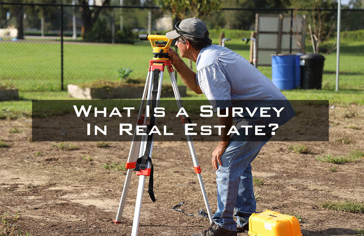 Property Surveys - Understanding 4 Types of Property Surveys